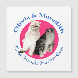 Olivia y Meredith - Los mejores amigos de Purrr-Ev