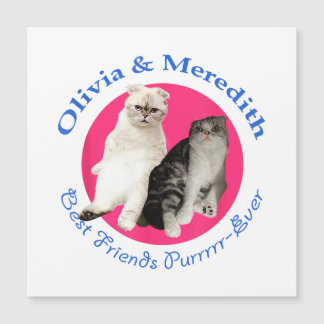 Olivia y Meredith - Los mejores amigos de Purrr-Ev