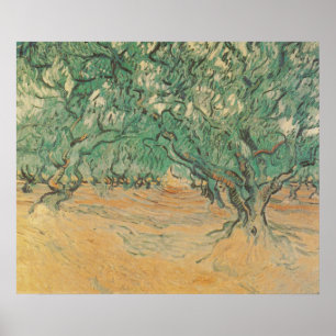 Olivo de Van Gogh - Arte de la Naturaleza en Verde