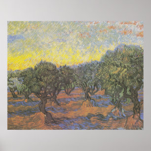Olivos de Van Gogh Cielo Amarillo Arte