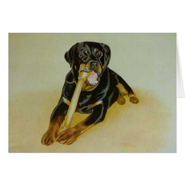 Ollie (Anverso (Horizontal))