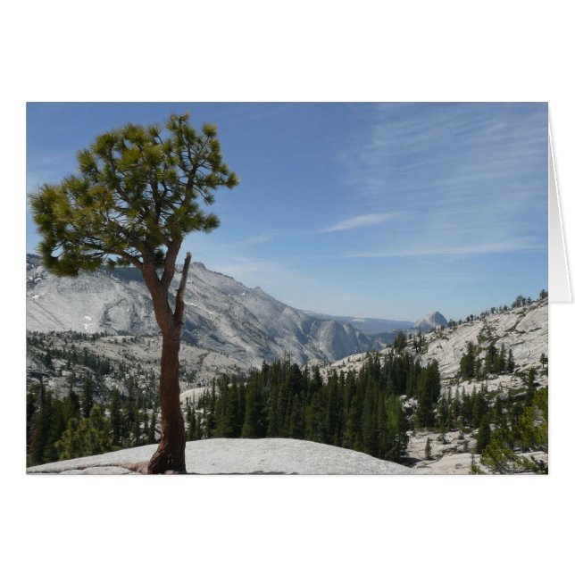 Olmsted Point I en el Parque Nacional Yosemite (Anverso (Horizontal))
