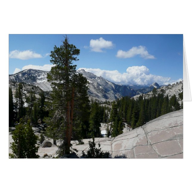 Olmsted Point III en el Parque Nacional Yosemite (Anverso (Horizontal))