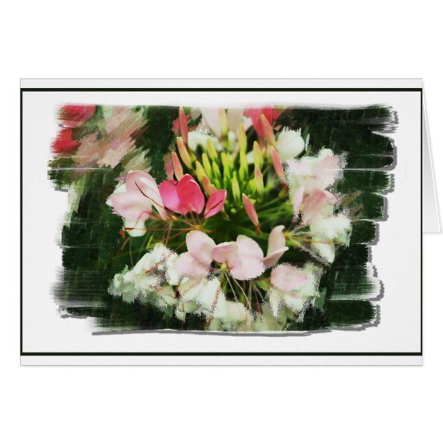 Olores del color (Anverso (Horizontal))