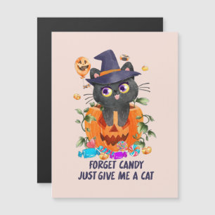 Olvídate De Candy, Dame Un Gato