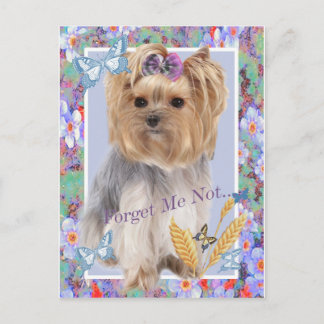 Olvidémonos de las tarjetas Yorkie