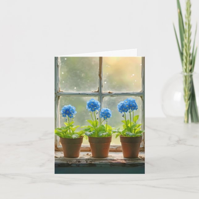 Olvídenme de las macetas de flores en una ventana (Anverso)