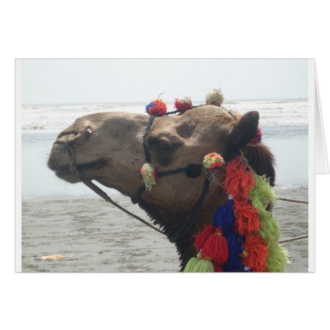 ¡Omán! Muscat (Anverso (Horizontal))