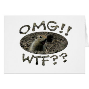 OMG WTF Gopher