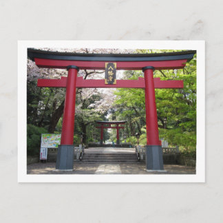 Omiya Hachimangu Shrine: Tarjeta postal de Tokio
