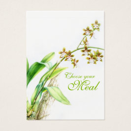 Oncidium Leucochilum Orquídea verde