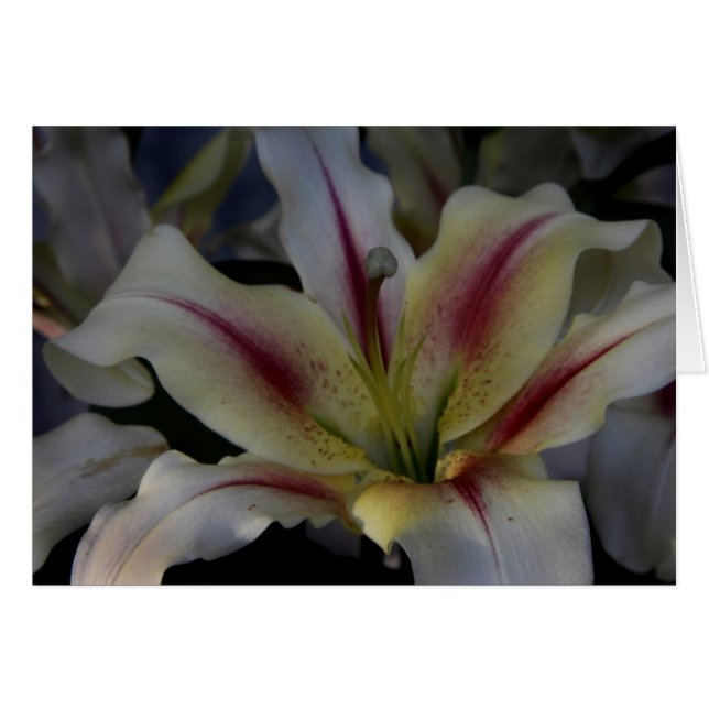 Ondas (Anverso (Horizontal))