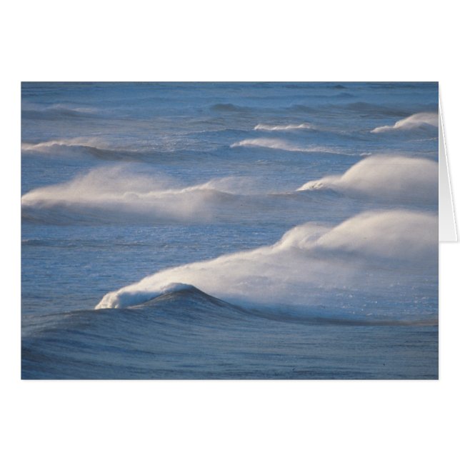 Ondas (Anverso (Horizontal))