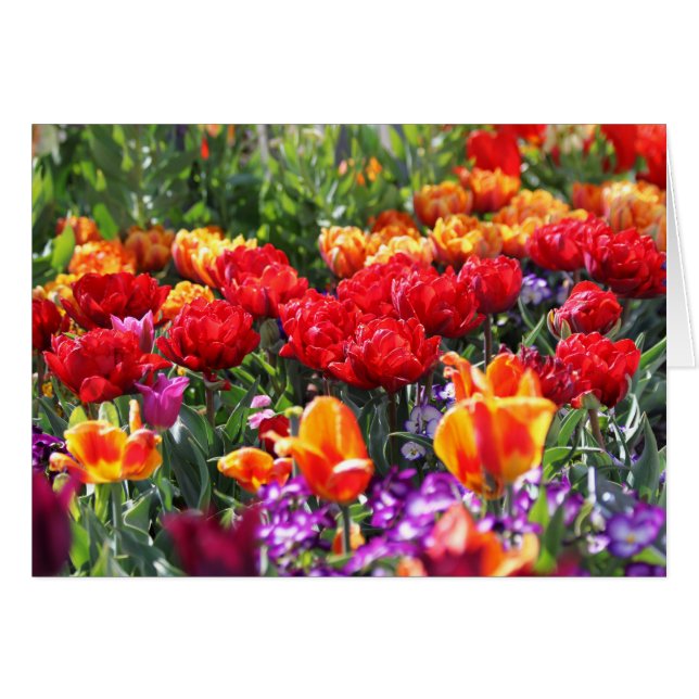 Ondas de Crmson Floral Falln (Anverso (Horizontal))