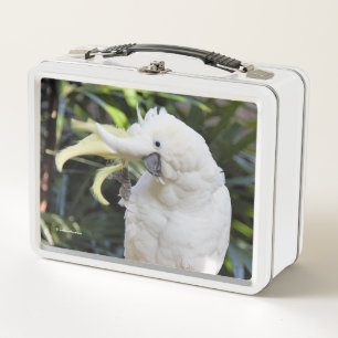 Ondas divertidas de aves de cococo de azufre