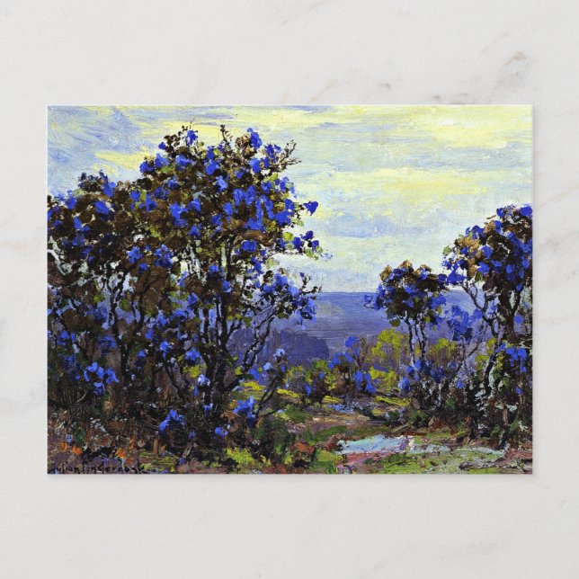 Onderdonk - Tarjeta Laurel de montaña en Bloom (Anverso)