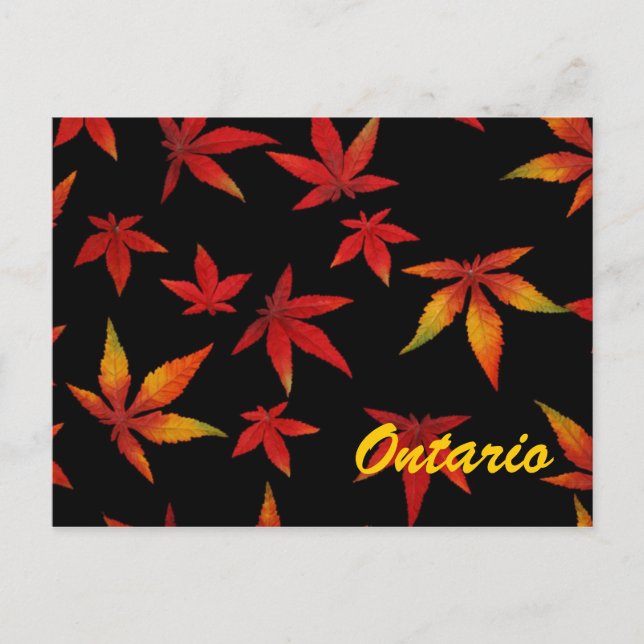 Ontario Autumn deja su postal (Anverso)
