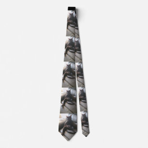 Onyx la corbata del gato