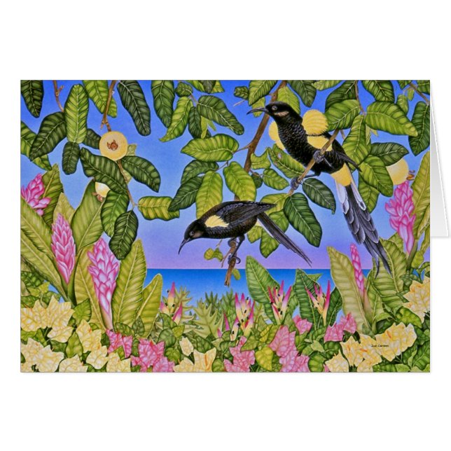 O'o de obispo hawaiano (Anverso (Horizontal))