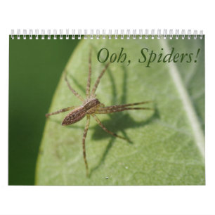 ¡Ooh, arañas! Calendario