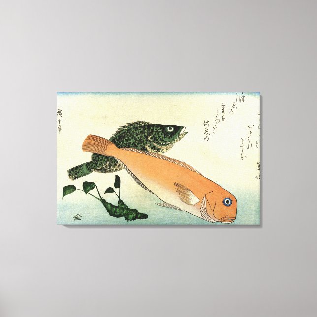 Oomon-hata y Shiro-amadai - Impresión de pescado d (Anverso)
