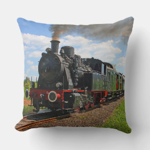 Opciones de imagen de tren 40-41 Almohada