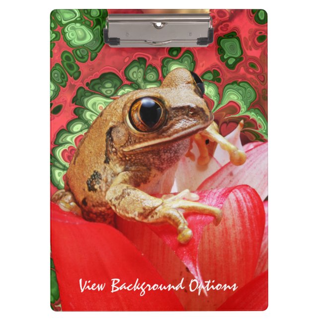 Opciones del portapapeles de Frog 5 (Anverso)