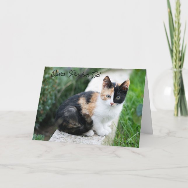 Opera Gato fantasma (Anverso)