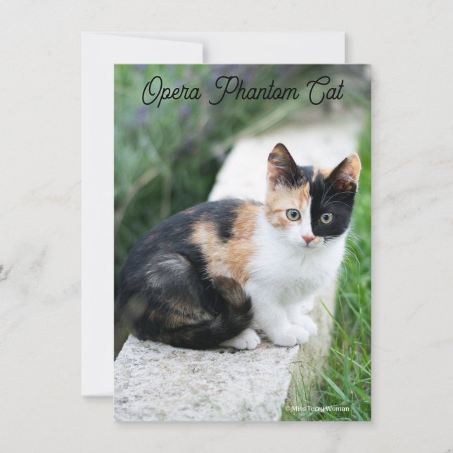 Opera Gato fantasma (Anverso)