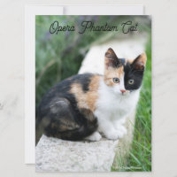 Opera Gato fantasma