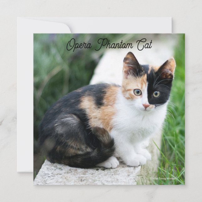 Opera Gato fantasma (Anverso)