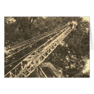 Operador de grúa del ENGINEER OPERATIVO de la grúa