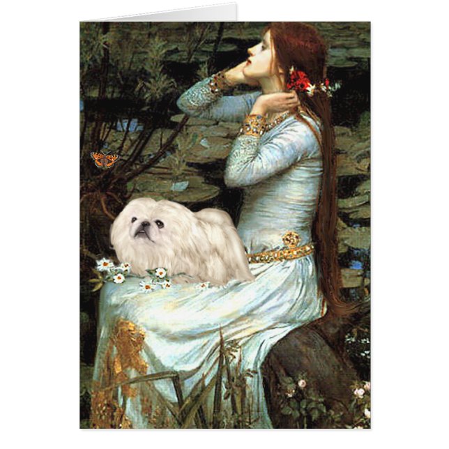 Ophelia - Pekingés blanco 4 (Frente)