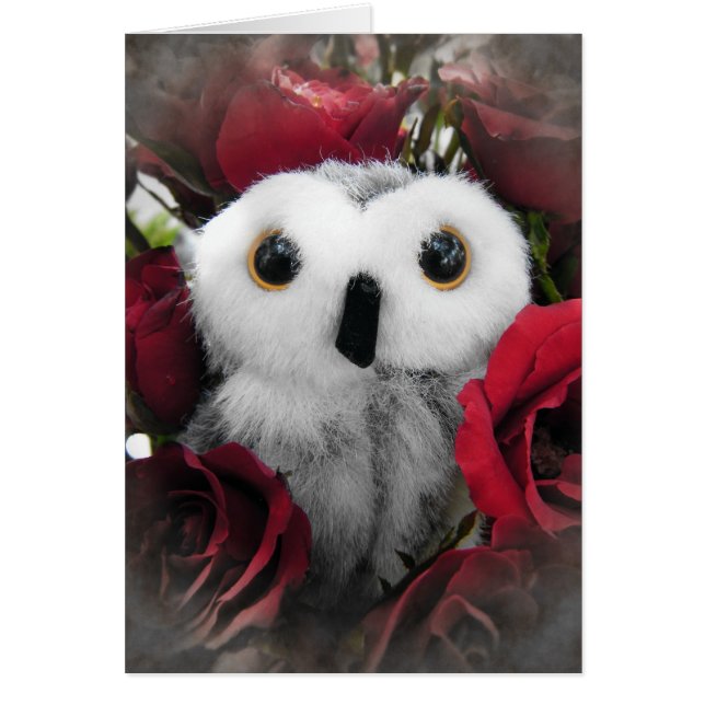 Ophelia y los Rosas de la época (Frente)