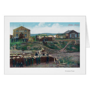 Opinión ciudadanos alrededor de WoodNulato