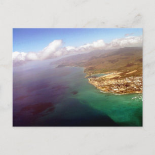 Opinión de la gaviota de Honolulu en la postal de