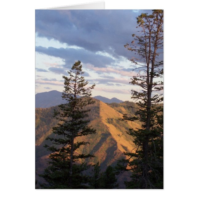 Opinión de la vertical de los infiernos (Frente)