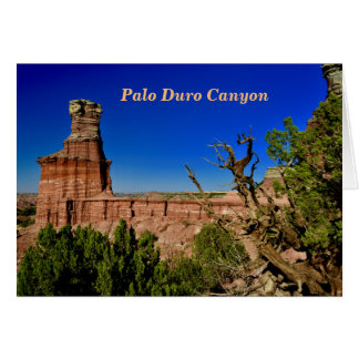 Opinión del faro en el Duro de Palo