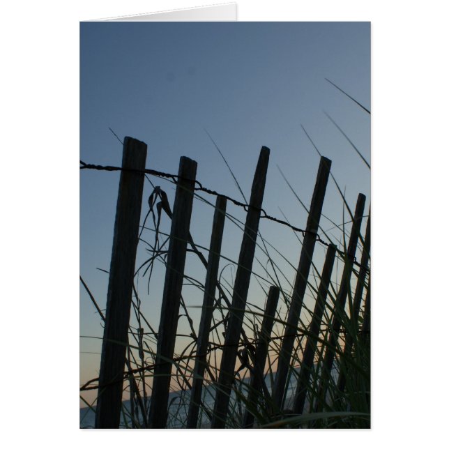 Opinión del mar (Frente)