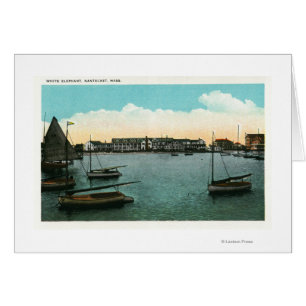 Opinión el elefante blanco