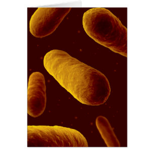 Opinión microscópica las bacterias 3