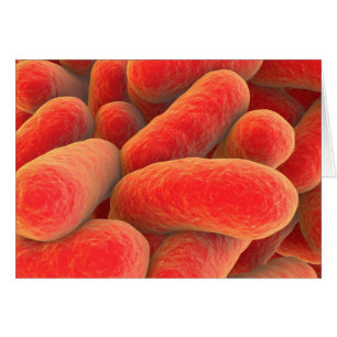 Opinión microscópica las bacterias 4
