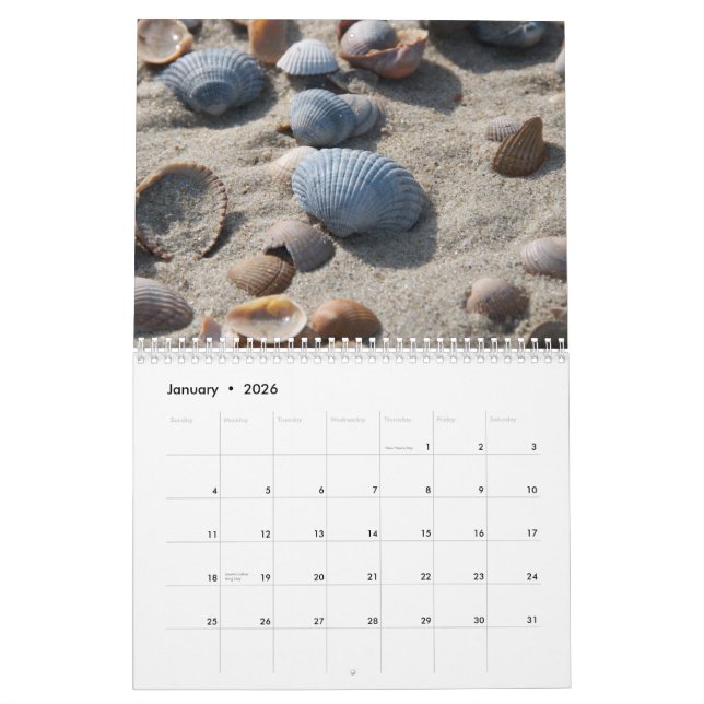 Opiniones de la playa - calendario (Jan 2026)