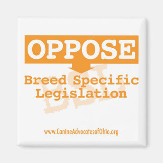 Oponerse al imán cuadrado BSL