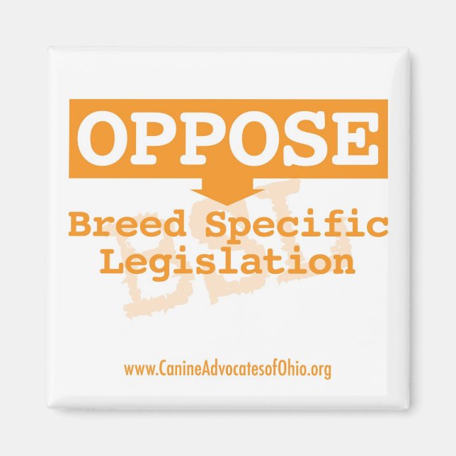 Oponerse al imán cuadrado BSL (Frente)