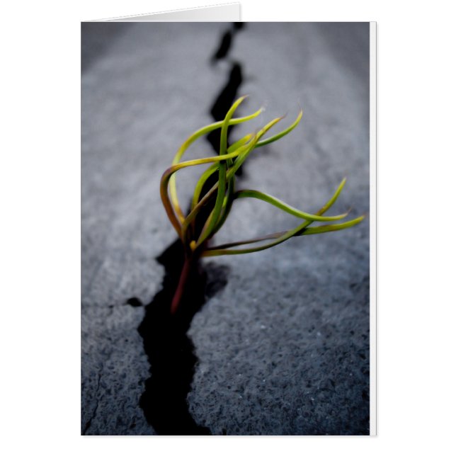 Oportunidad (Frente)