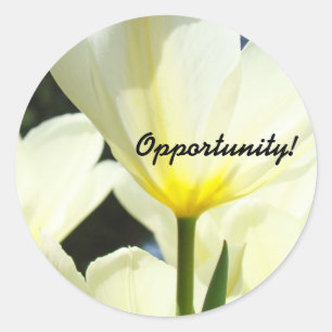 ¡Oportunidad! pegatinas Jefe Administrar Oficina T