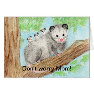 Opossum Mom