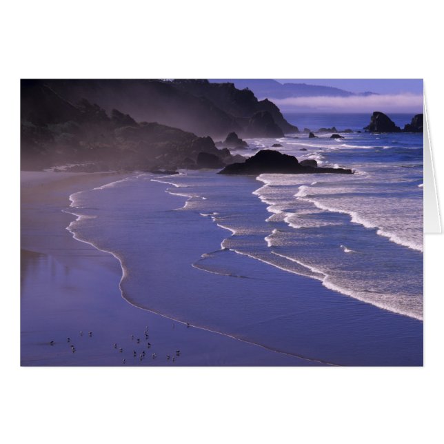 OR, Costa de Oregón, Ecola SP, Indian Beach con (Anverso (Horizontal))