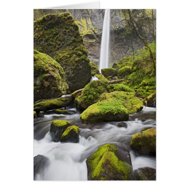 OR, desfiladero del río Columbia, cataratas de Elo (Frente)